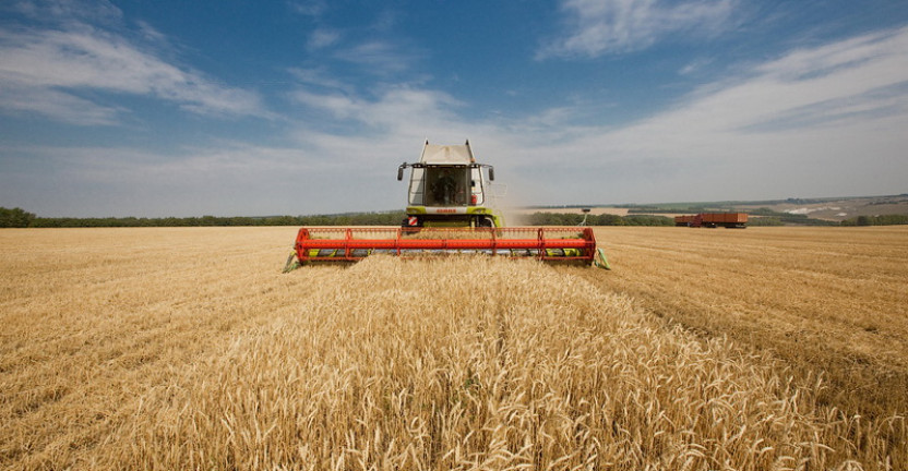О ходе уборки урожая зерновых и зернобобовых культур
